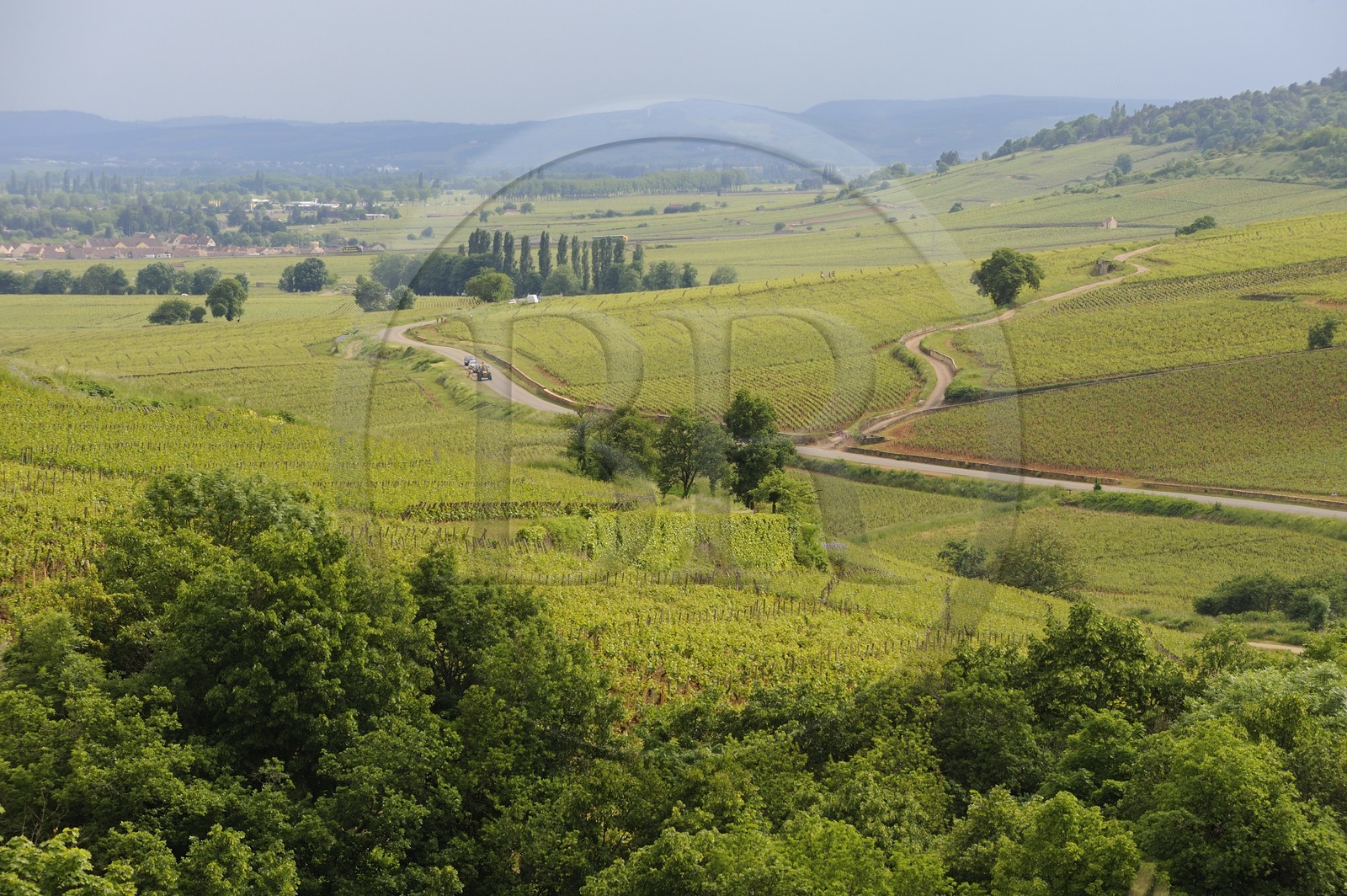 France, Côte d'Or (21), Pernand-Vergeles et la côte de Beaune