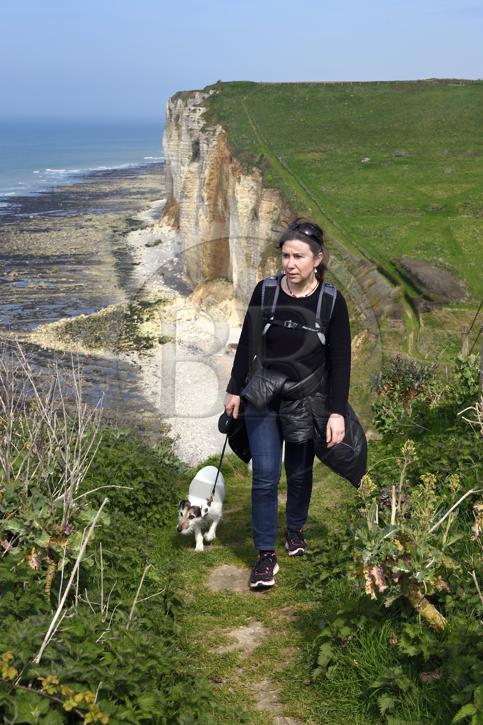 France, Seine-Maritime (76), Pays de Caux, Côte d'Albâtre, entre Etretat et Yport, la falaise vers Bénouville et la plage à marée basse