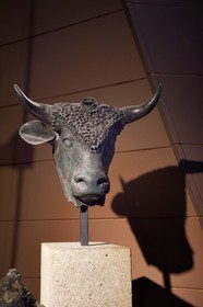 Suisse, canton du Valais, Martigny, Fondation Pierre Gianadda, Musée gallo-romain, tête d'un taureau en bronze tricorne, animal sacré de la mythologie gauloise, trouvé dans les fouilles du forum de Martigny