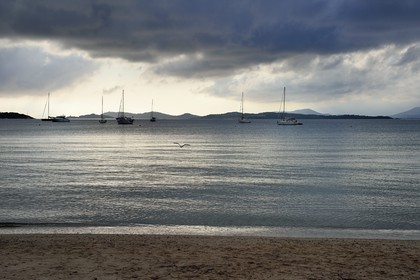 France, Var (83), Iles d'Hyères, parc national de Port Cros, Ile de Porquerolles, plage de la Courtade
