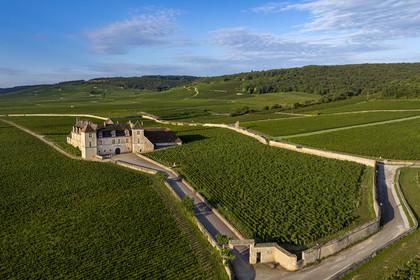 France, Côte-d'Or (21), Paysage culturel des climats de Bourgogne classés Patrimoine Mondial de l'UNESCO, Route des Grands Crus, vignoble de la Côte de Nuits, Vougeot, le Chateau du Clos de Vougeot entouré par le vignoble (vue aérienne)