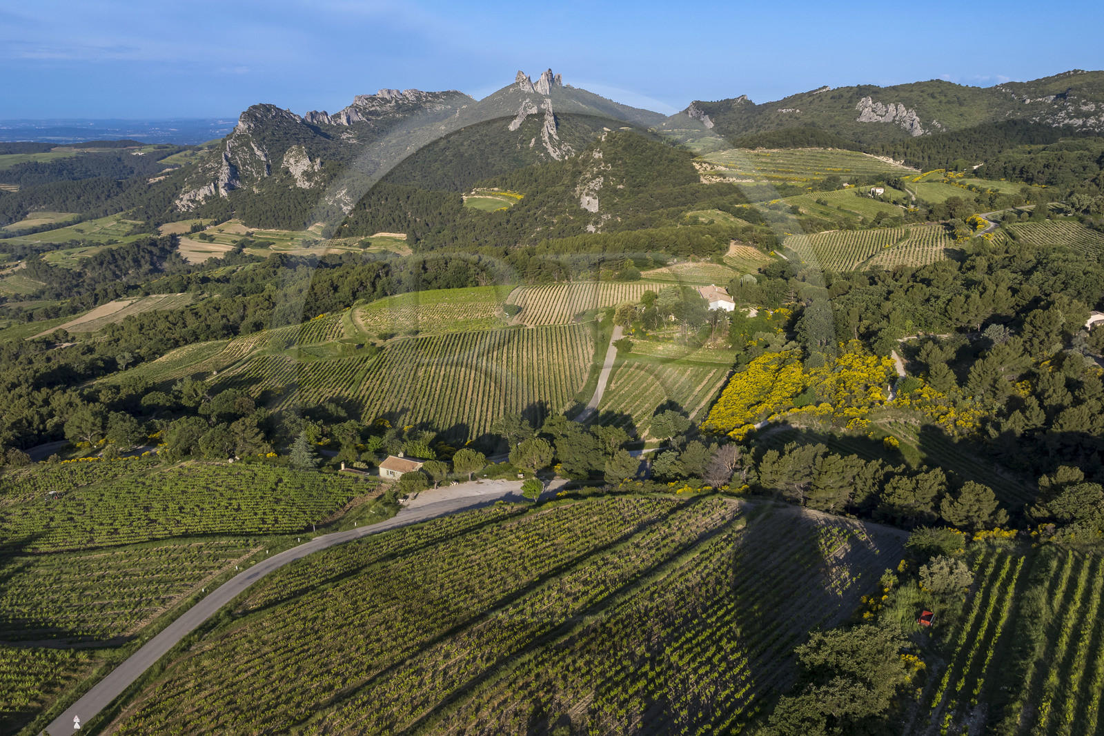 France, Vaucluse (84), Dentelles de Montmirail, le vignoble autour du village de Suzette, le Clapis prolongé par le Grand Montmirail à gauche, les Dentelles Sarrasines au centre et le Grand Travers à droite en arrière plan (vue aérienne)