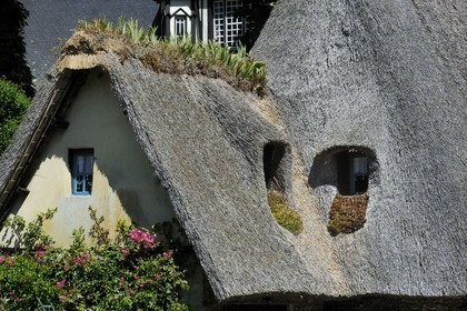 France, Seine-Maritime (76), Veules-les-Roses, toit en chaume