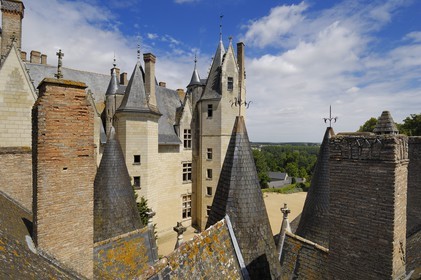 France, Maine et Loire, Chateau de Montreuil Bellay