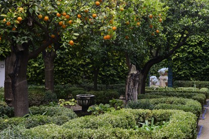 Spain, Andalusia, Cordoba, Viana Palace, orange trees courtyard