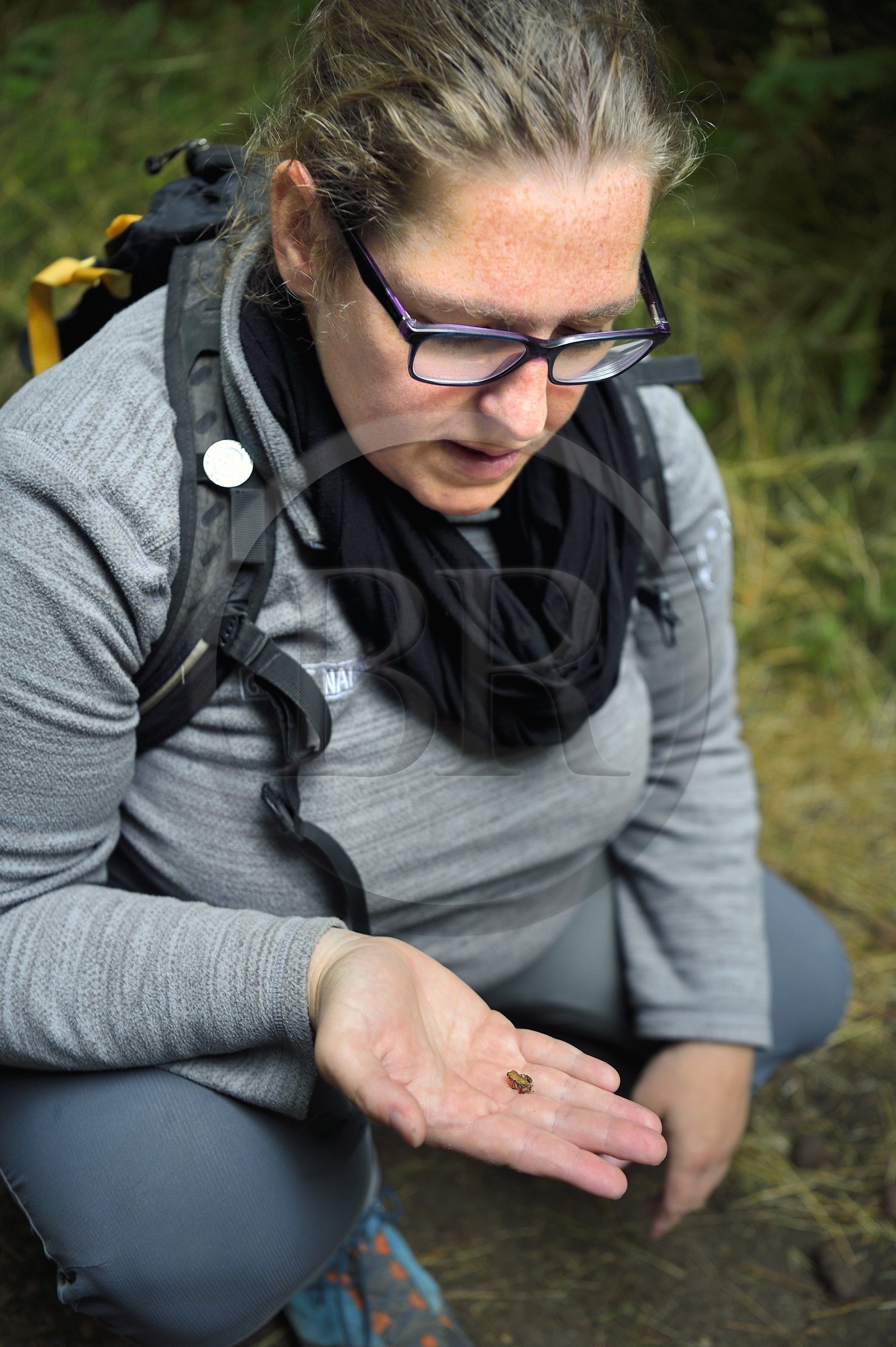 France, Puy-de-Dôme (63), Aydat, vers l'étang du Chateau de Montlosier, Catline Lajoie garde nature au Parc naturel régional des Volcans d'Auvergne