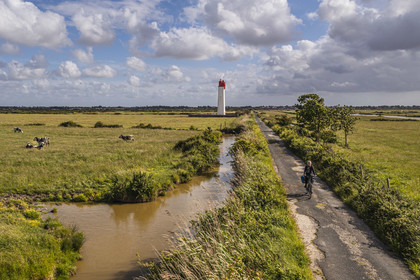 France, Charente-Maritime (17), cycliste faisant la véloroute La Flow Vélo, vaches dans les prés-salés des zones inondables de l'estuaire de la Charente et Feux posterieur d'alignement de Soumard (vue aérienne)