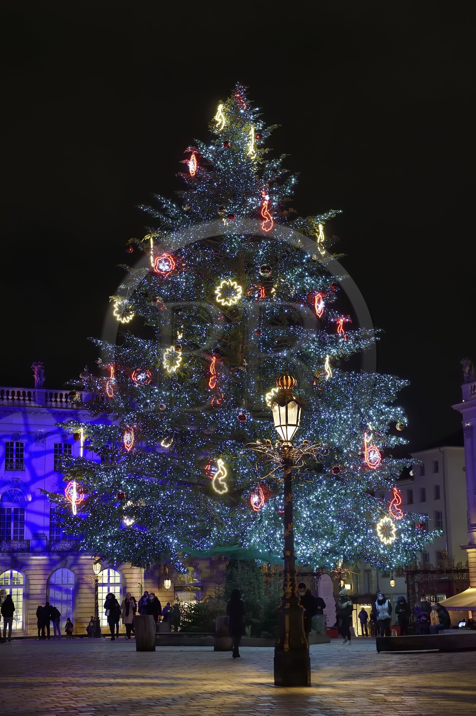 France, Meurthe-et-Moselle (54), Nancy, place Stanislas (ancienne Place Royale) lors de la fête de la Saint-Nicolas, classée Patrimoine Mondial de l'UNESCO, le grand sapin  de Noël décoré