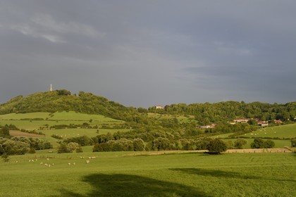 France, Meurthe-et-Moselle, Saintois region, colline de Sion-Vaudemont (hill of Sion) and the village of Saxon-Sion, the Notre Dame de Sion basilica at the top of the hill