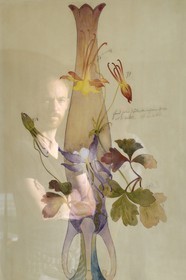 France, Meurthe-et-Moselle, Nancy, rue Saint-Jean, former Renauld bank and current BNP Paribas of Art Nouveau style, plan for Emile Gallé vase, portrait of Vincent Noyoux