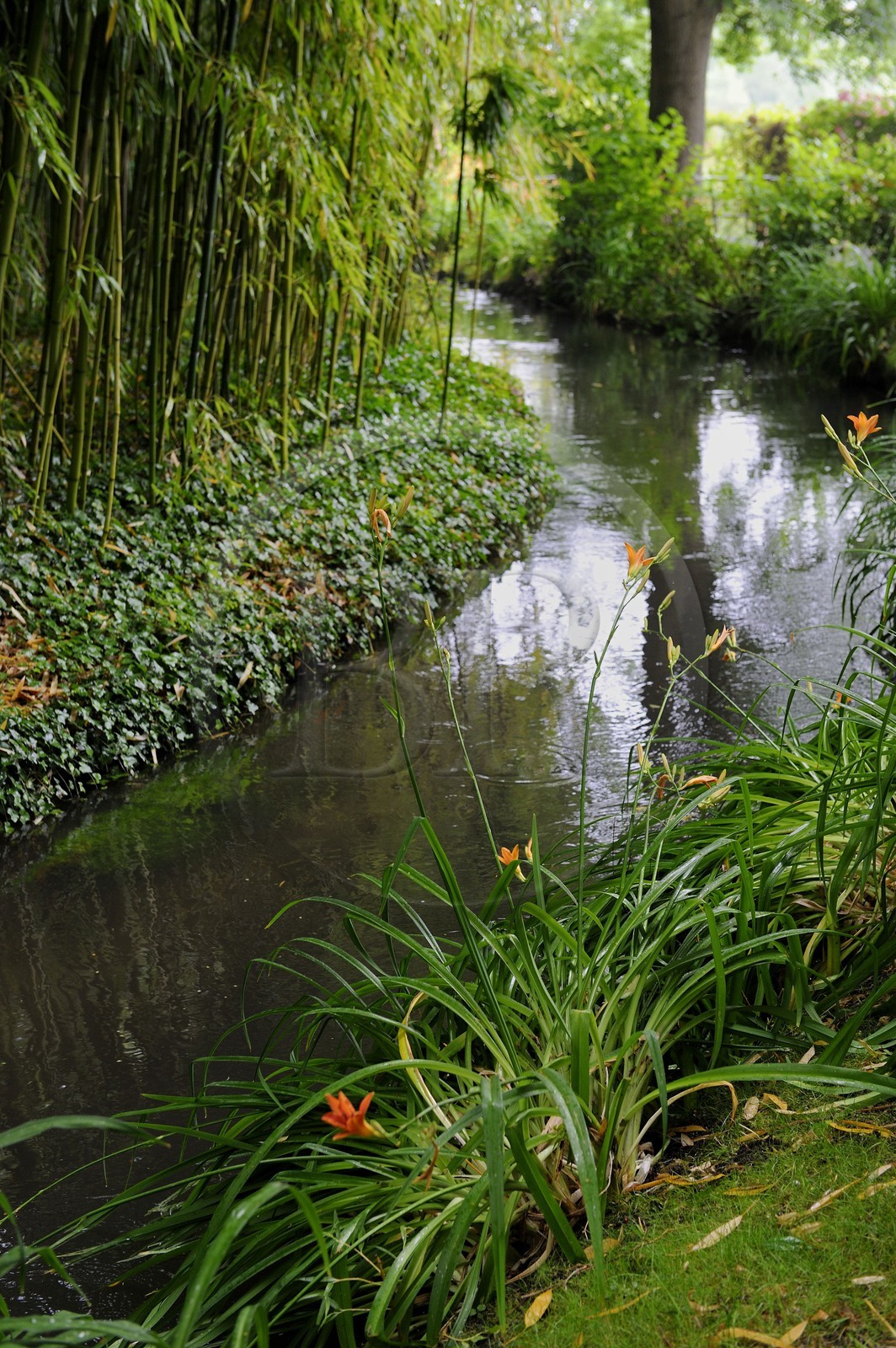 France, Eure (27), Giverny, le jardin de Claude Monet, le Jardin d'Eau