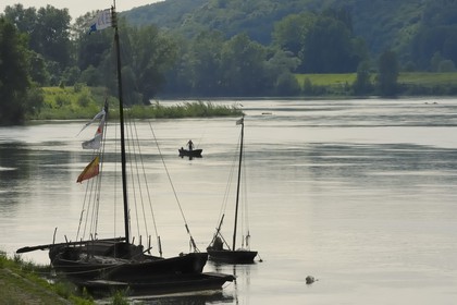 France, Indre et Loire, Loire Valley listed as World Heritage by UNESCO, edges of the Loire river in Brehemont
