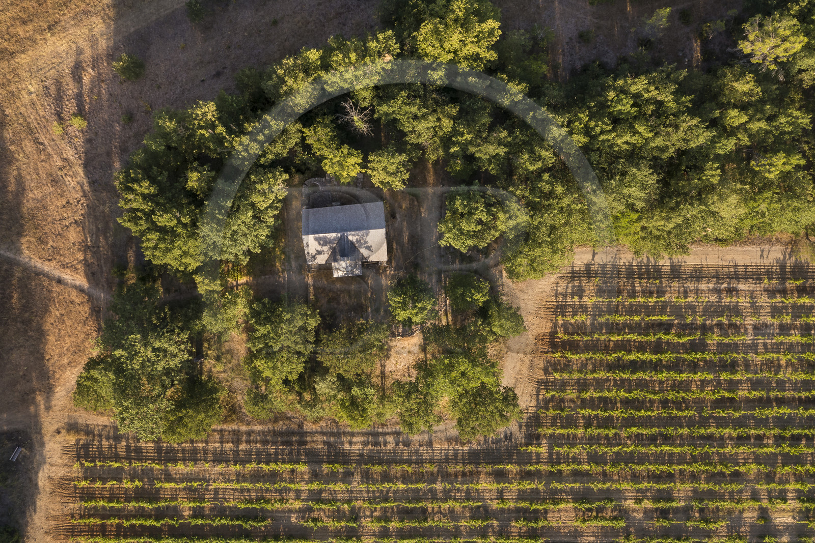 France, Var (83), Provence Verte, Bras, vers Saint-Maximin-la-Sainte-Baume, la maison d'hotes Le Peyrourier - une campagne en Provence, la chapelle templière reconstruite (vue aérienne)