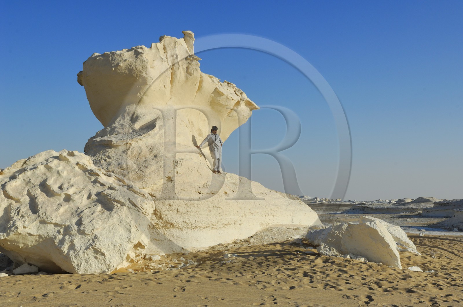 Egypte, désert libyque, le Désert Blanc au nord de Farafra