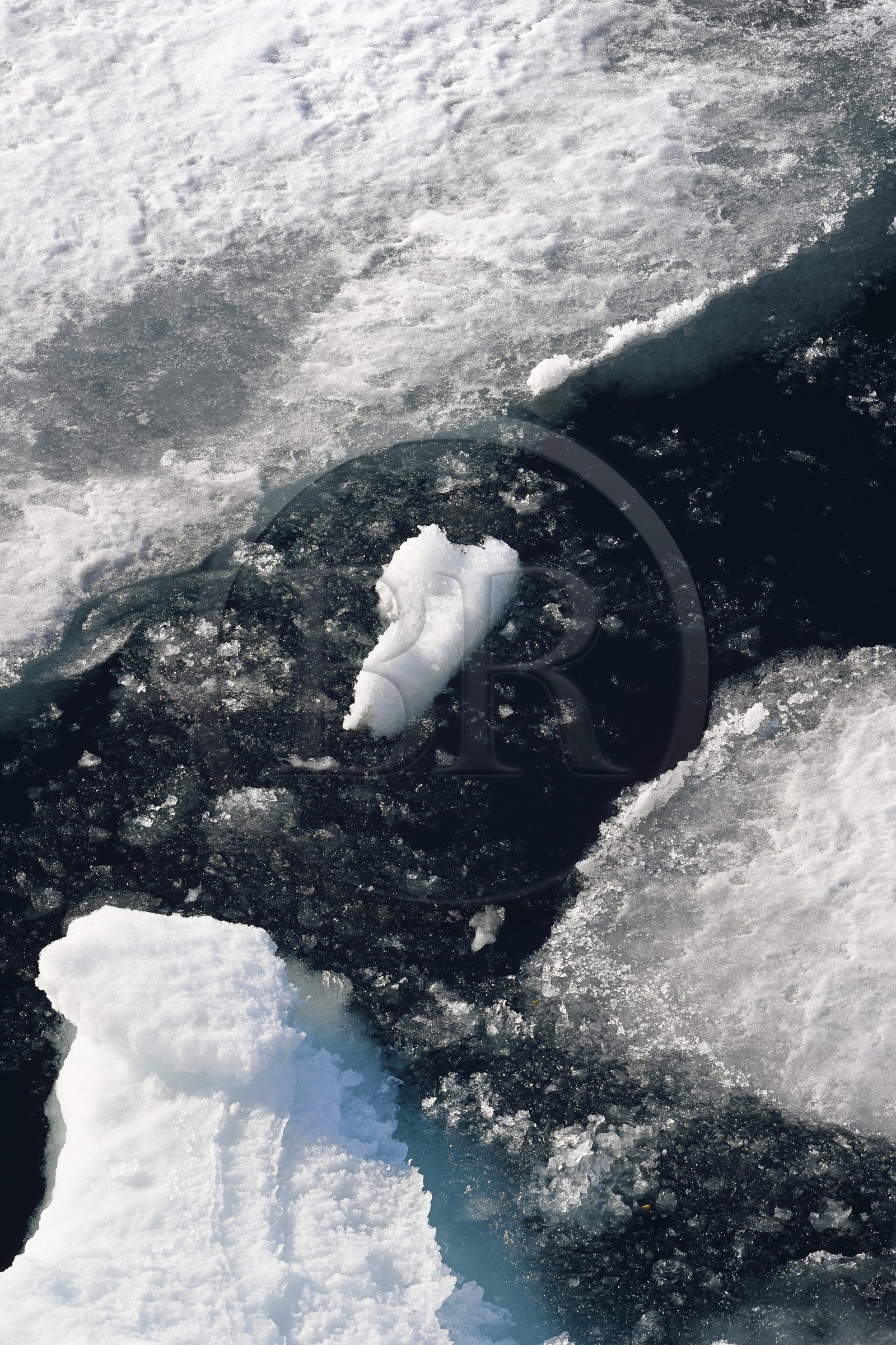 Groenland, cote Nord-Ouest, Smith sound au nord de la baie de Baffin, morceaux de glace de la banquise arctique en train de fondre