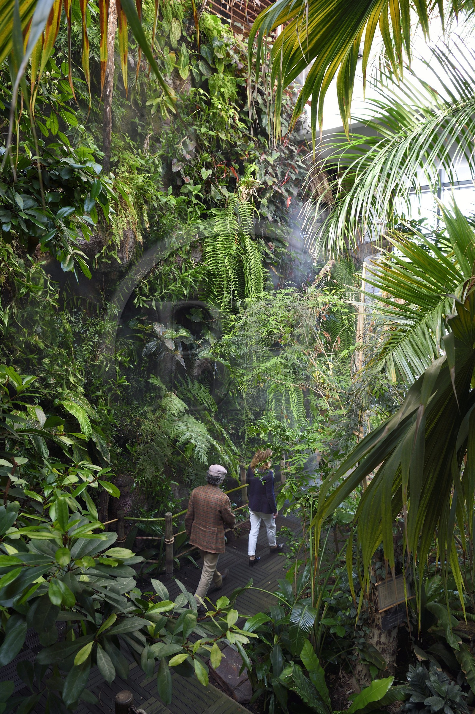 France, Charente-Maritime, La Rochelle, Aquarium La Rochelle, Compulsory Mention, the tropical greenhouse