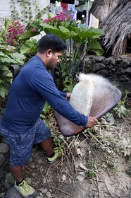 Philippines, province d'Ifugao, région de Banaue, village de Cambulo, un homme Ifugao faisant le vannage du riz