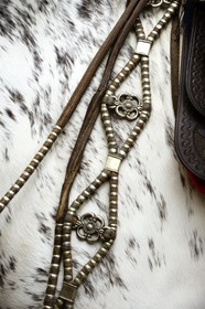 Argentina, Buenos Aires Province, San Antonio de Areco, Tradition Day festival (Dia de Tradicion), detail of a braided leather and silver harness