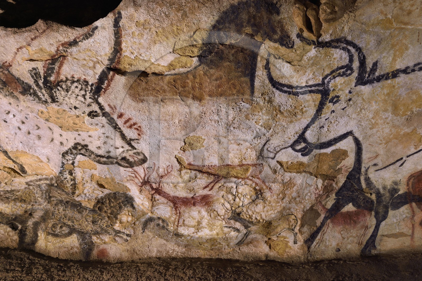 France, Dordogne (24), Périgord Noir, vallée de la Vezère, Montignac-sur-Vézère, Grotte de Lascaux II, reconstitution du site préhistorique et grotte ornée classés Patrimoine Mondial de l'UNESCO, Aurochs Chevaux et Cerfs