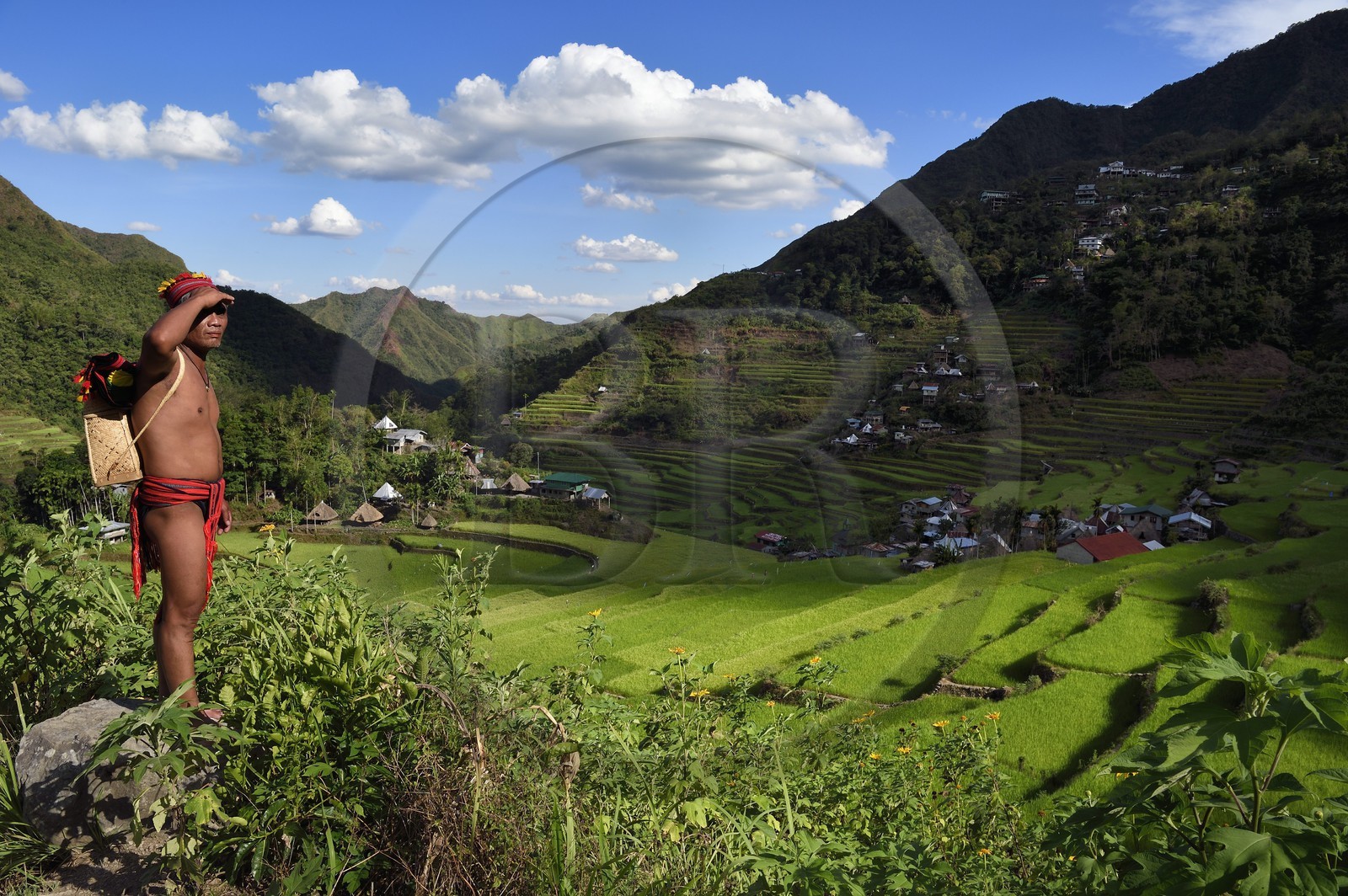 Philippines, province d'Ifugao, les rizières en terrasses de Banaue autour du village de Batad, classées Patrimoine Mondial de l'UNESCO, le guide Adolpho revetu du costume traditionnel Ifugao