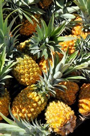France, île de la Réunion, Saint-Pierre, le marché du samedi, ananas