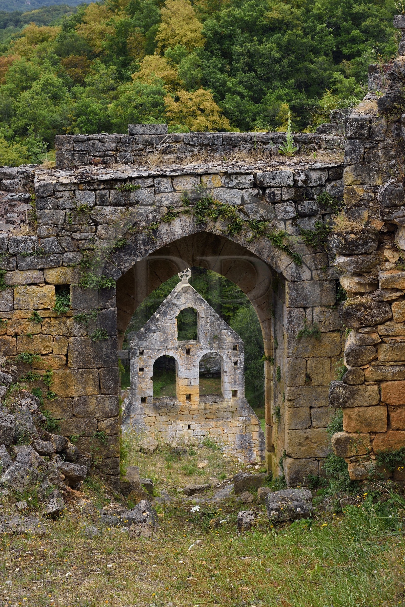 France, Dordogne (24), Périgord Noir, Les Eyzies-de-Tayac-Sireuil, vallée de la Beune, ruines du Chateau de Commarque