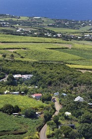 France, Reunion island (French overseas department), Petite Ile, sugar cane fields towards Anse-les Bas seen from the peak of Mont Vert