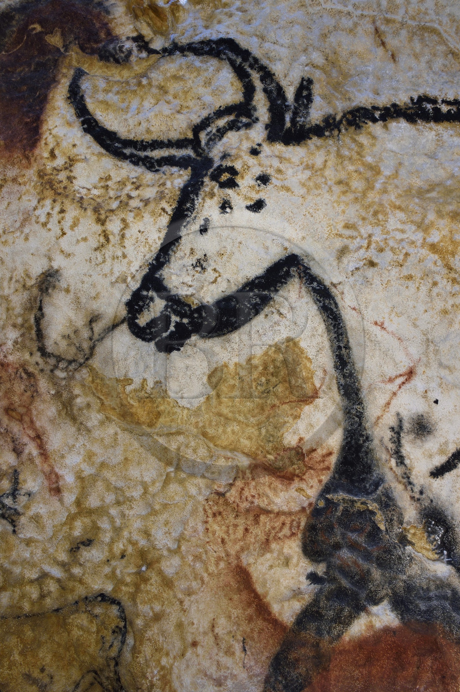 France, Dordogne (24), Montignac, l’Atelier des Fac-Similés du Périgord (AFSP) spécialisé dans la reproduction minérale de parois ornées de la préhistoire et en charge de la reconstitution fidèle des parois de la grotte de Lascaux, Aurochs, mention obligatoire Atelier des Fac-Similés du Périgord