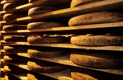 France, Doubs, Fort Saint Antoine, Comte mountain cheese maturing cellar