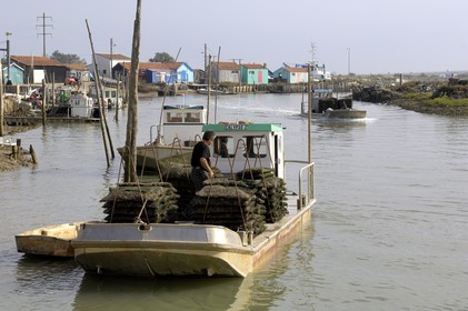 France, Charente-Maritime (17), Ile d'Oléron, le chenal d'Ors, chaland à huîtres dans le port ostréicole