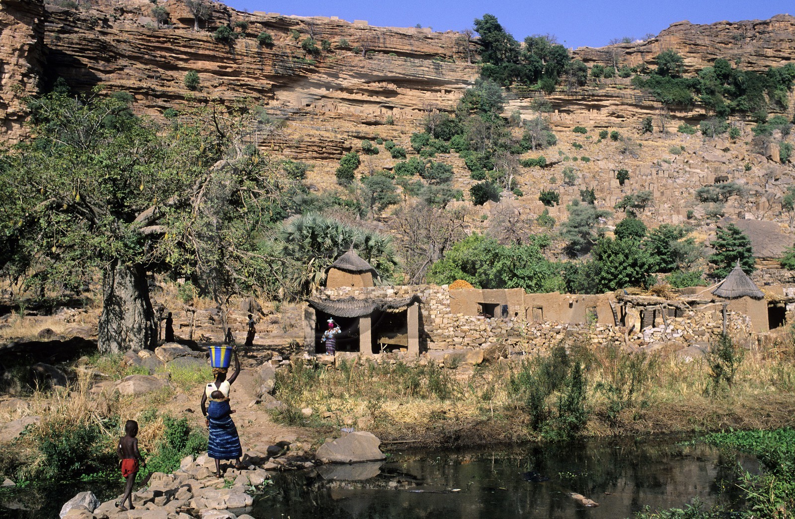 Mali, pays Dogon, falaise de Bandiagara classée Patrimoine Mondial de l'UNESCO, vers le village de Banani, Marigot sacré dans la plaine