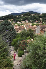 France, Var, Massif des Maures, Collobrières