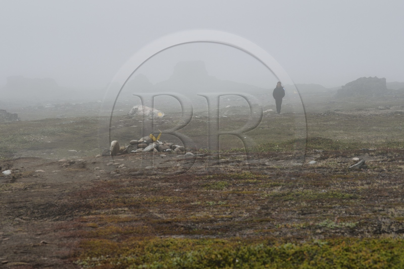 Groenland, cote ouest, Ile de Disko, Qeqertarsuaq, randonneur dans la brume marchant dans la toundra
