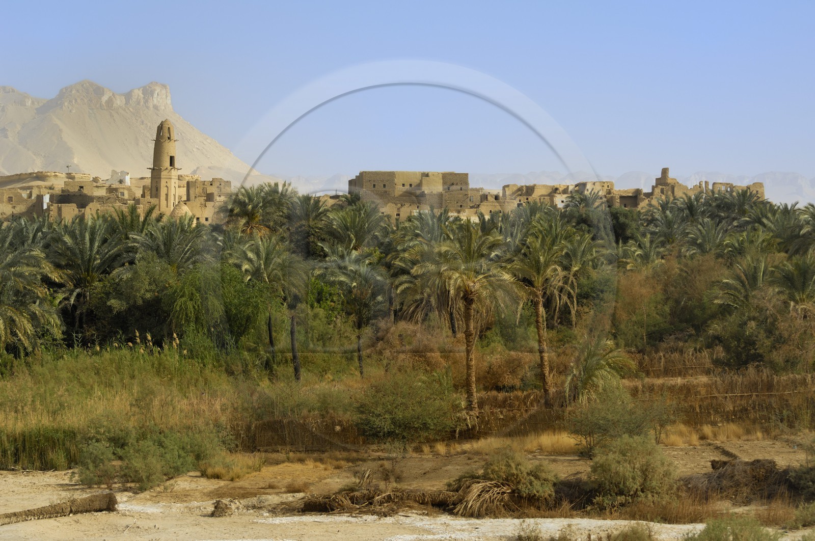 Egypte, Haute Egypte, désert libyque, oasis de Dakhla, vieux village de Al-Qasr, la mosquée de Nasr el-Din