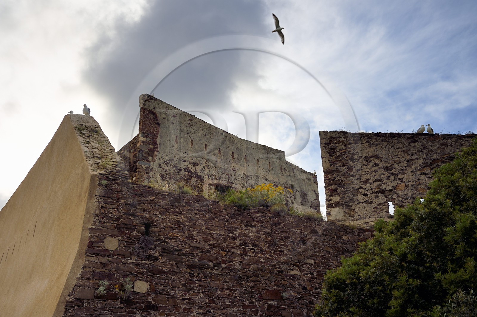 France, Var (83), Iles d'Hyères, parc national de Port Cros, Ile de Porquerolles, le Fort de l'Alycastre