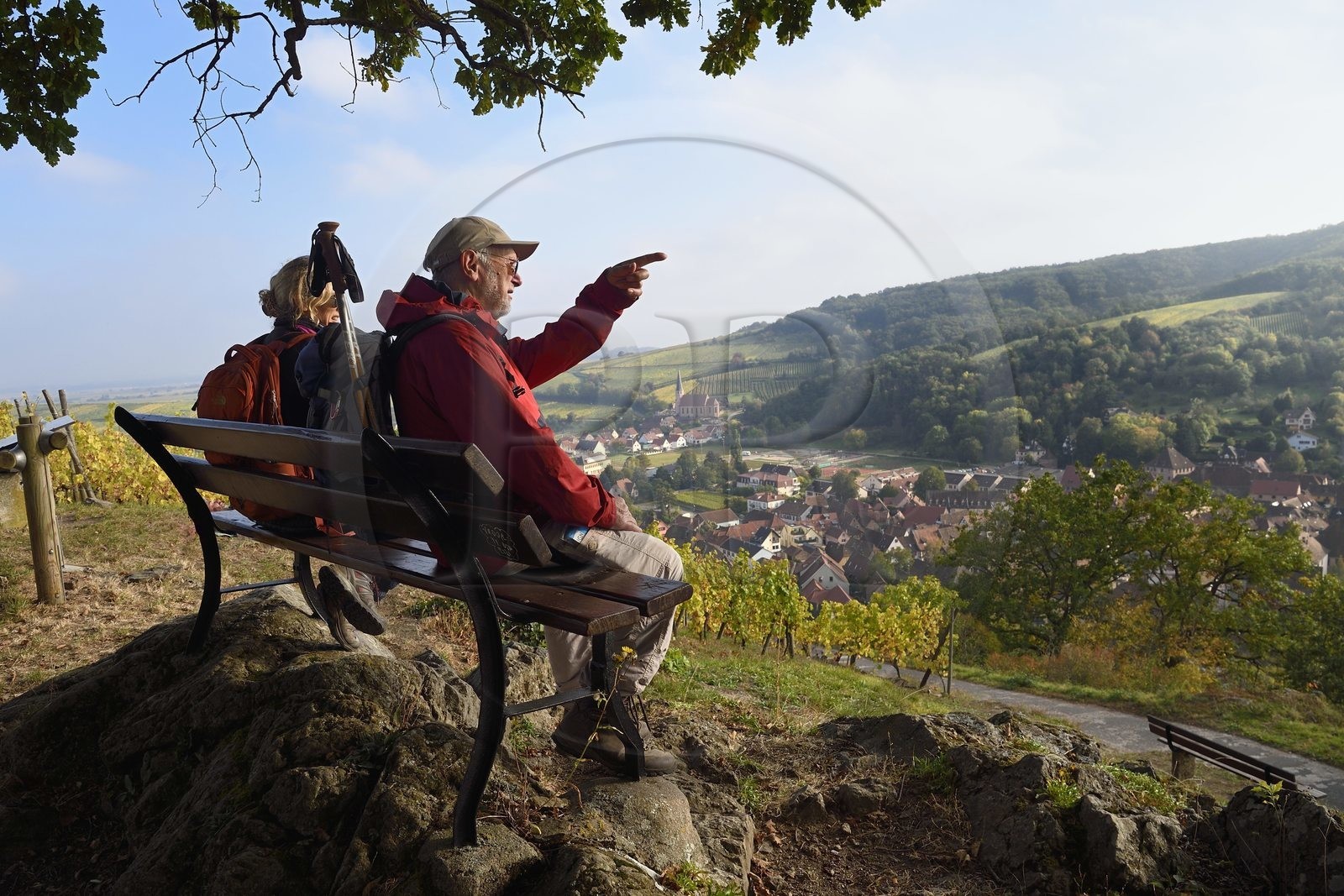 France, Bas-Rhin (67), Route des vins d'Alsace, randonnée des chemins des Chateaux-forts d'Alsace, Andlau, point de vue sur le village et la chapelle Saint-André en bordure du vignoble