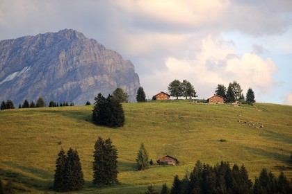 Suisse, canton de Vaud, Villars-sur-Ollon au Col de la Croix et le Grand Muveran