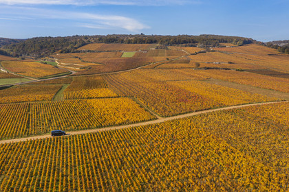France, Côte-d'Or (21), Paysage culturel des climats de Bourgogne classés Patrimoine Mondial de l'UNESCO, Route des Grands Crus, le vignoble du village de Vosne-Romanée (vue aérienne)