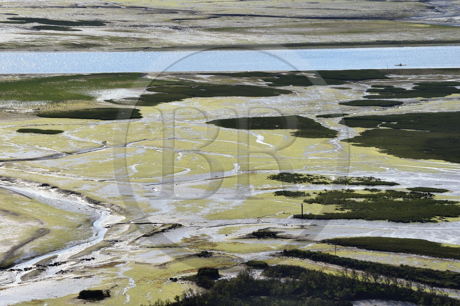 Espagne, Pays basque espagnol, Biscaye, région de Gernika-Lumo, Réserve de biosphère d'Urdaibai, estuaire du fleuve Oka à marée basse