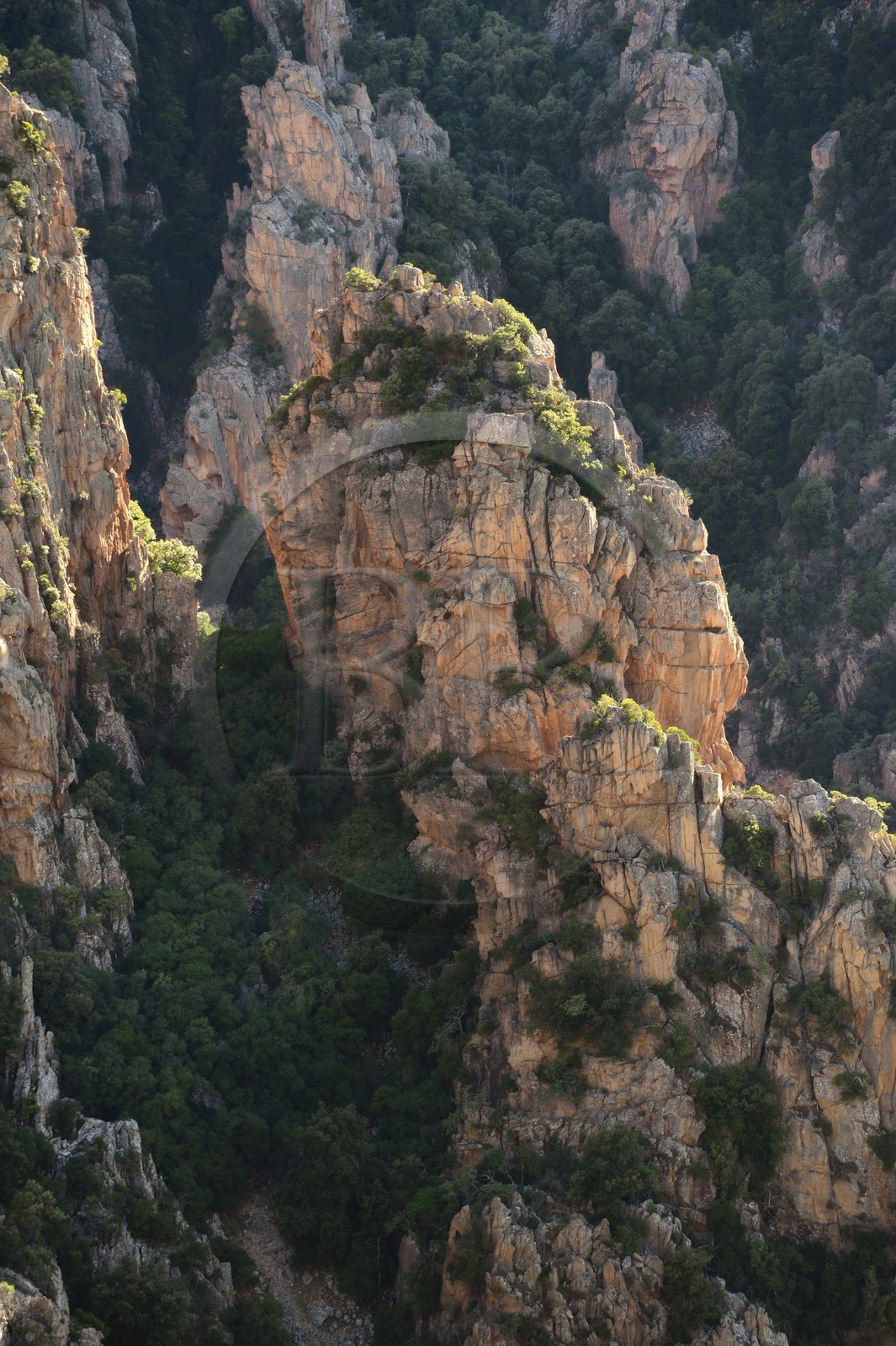 France, Corse-du-Sud (2A), Golfe de Porto, classé Patrimoine Mondial de l'UNESCO, calanches de Piana aux rochers de granit rose sur le chemin dit du Chateau-Fort