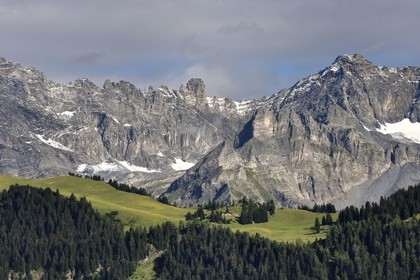 Switzerland, Canton of Vaud, Villars-sur-Ollon, panorama of the  massif of Argentine overlooking Solalex