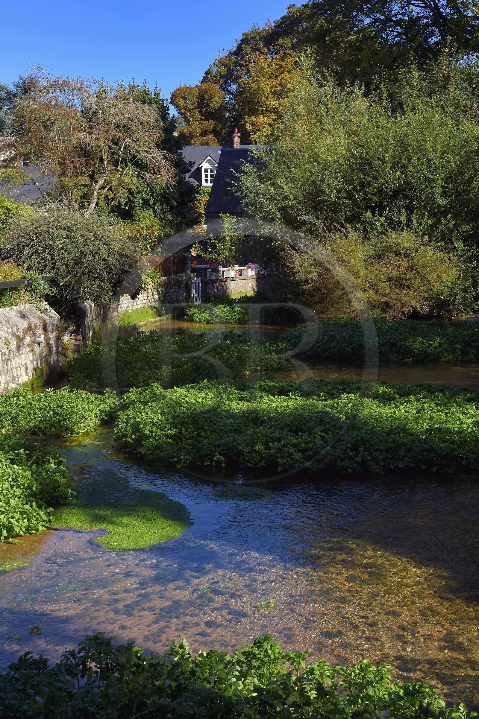 France, Seine-Maritime (76), Côte d'Albatre, Pays de Caux, Veules-les-Roses, labellisé Les Plus Beaux Villages de France, cressonnières arrosées par la Veules fleuve célèbre pour la faible longueur de son cours (1 100 m)