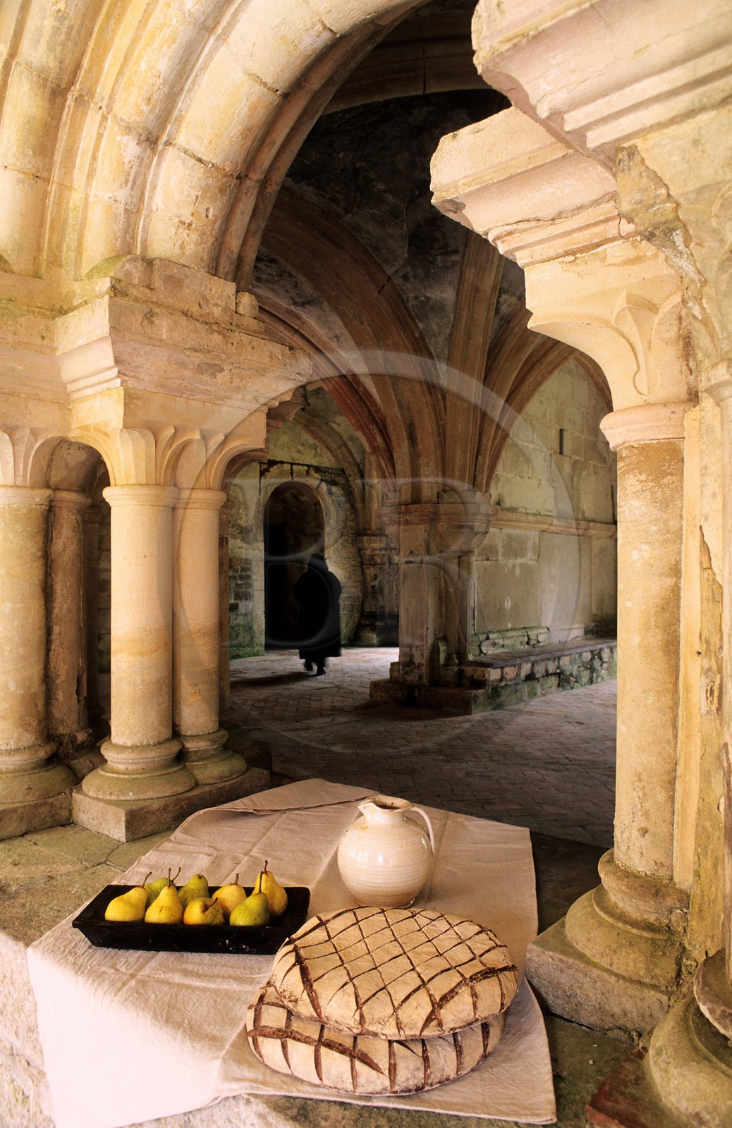 France, Côte-d' Or (21), Marmagne, Abbaye cistercienne de Fontenay (1118), classée Patrimoine Mondial de l' UNESCO