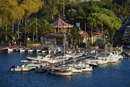France, Var, Sanary-sur-Mer, traditional fishing boats called pointus in the port
