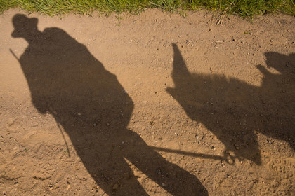 France, Haute-Loire (43), , hiking with a donkey on the Robert Louis Stevenson Trail (GR 70), shadow of hiker and his donkey on the track