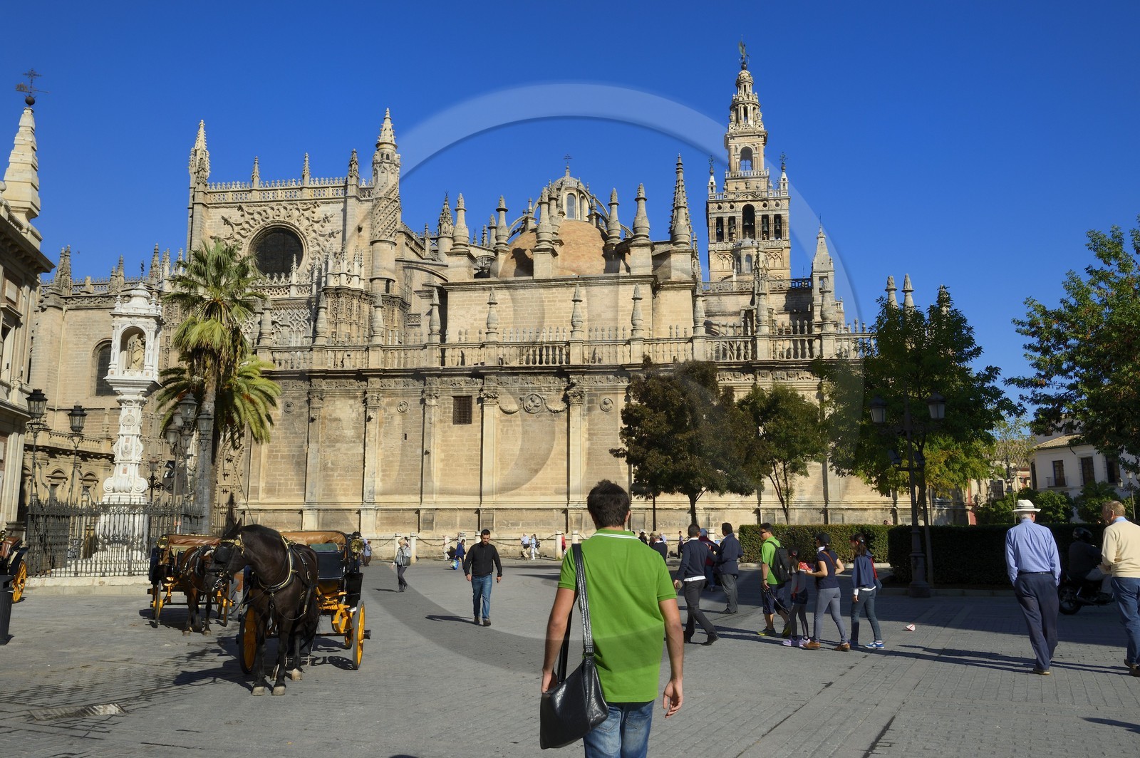 Espagne, Andalousie, Séville, quartier de Santa Cruz, la Giralda, ancien minaret almohade de la Grande Mosquée reconverti en clocher de la cathédrale, classé Patrimoine Mondial de l'UNESCO
