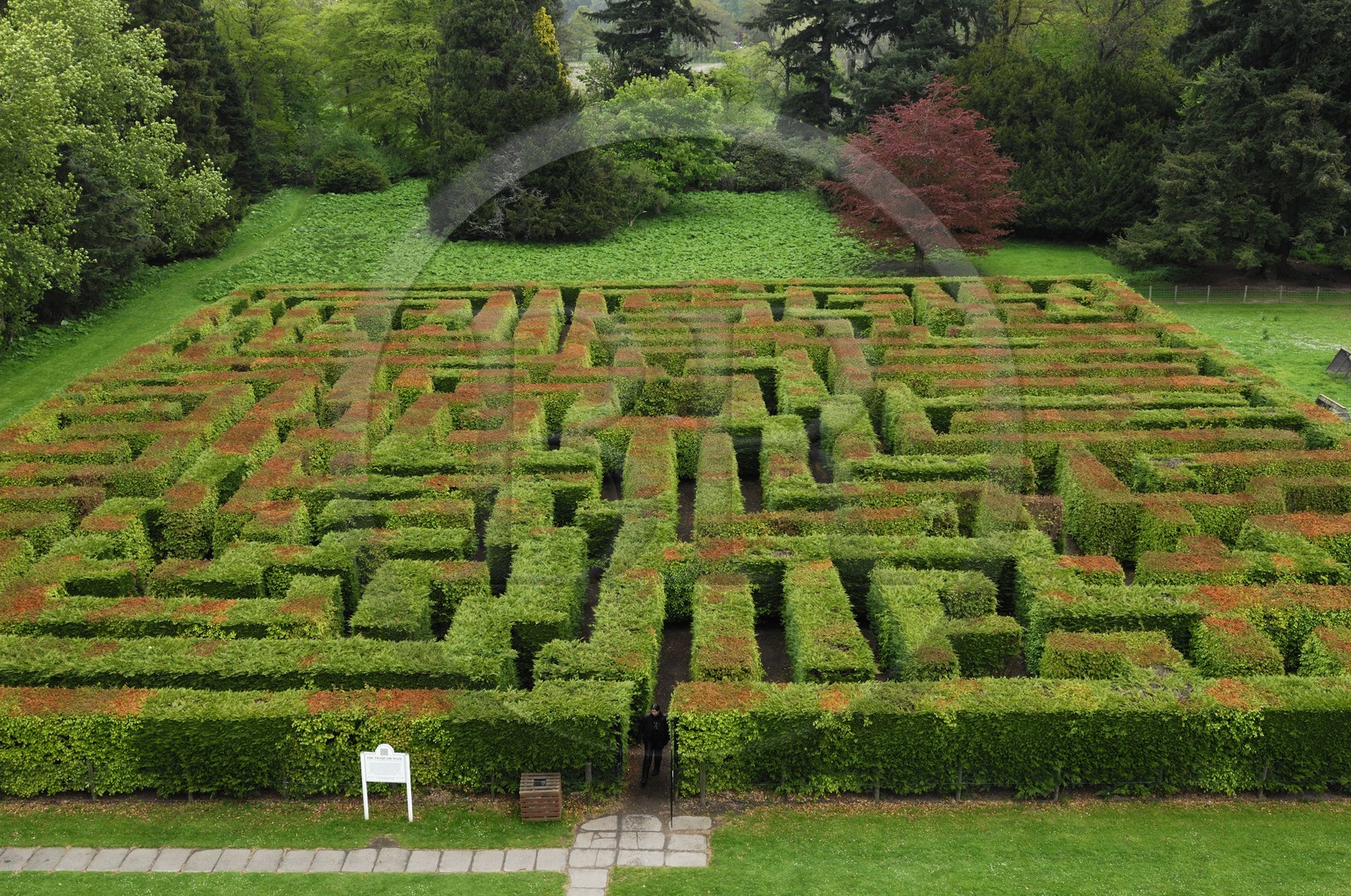 Royaume-Uni, Ecosse, région des Borders, le labyrinthe à l' arrière du château de Traquair House