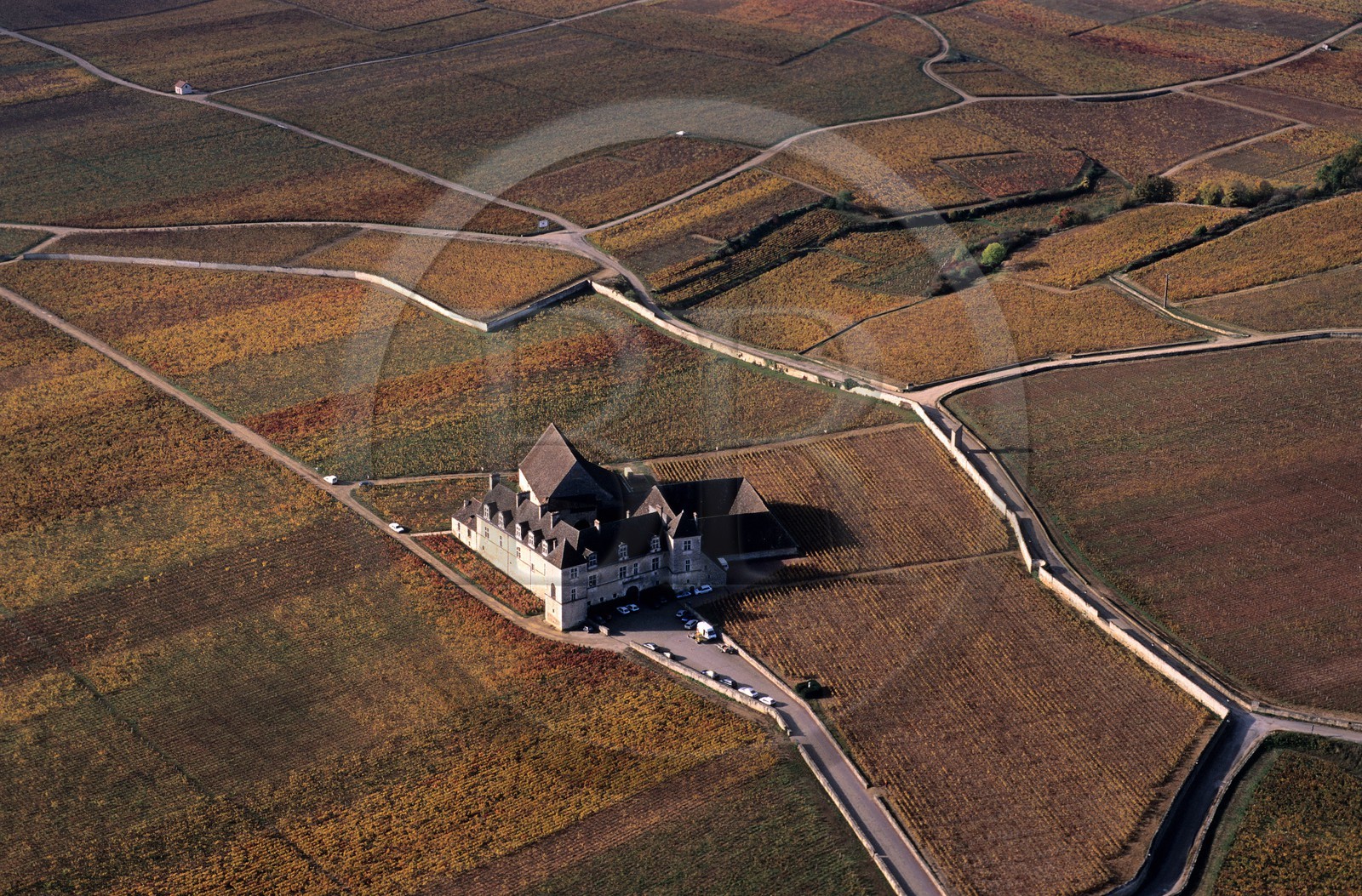 France, Côte-d'Or (21), château du Clos de Vougeot au milieu des vignes en automne (vue aérienne)