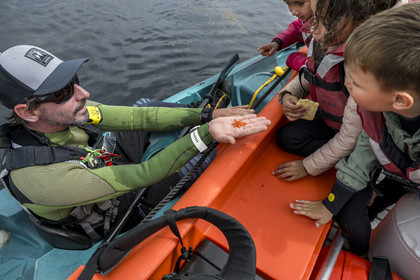 France, Finistère, Penmarch, Étocs archipelago, children discover a starfish