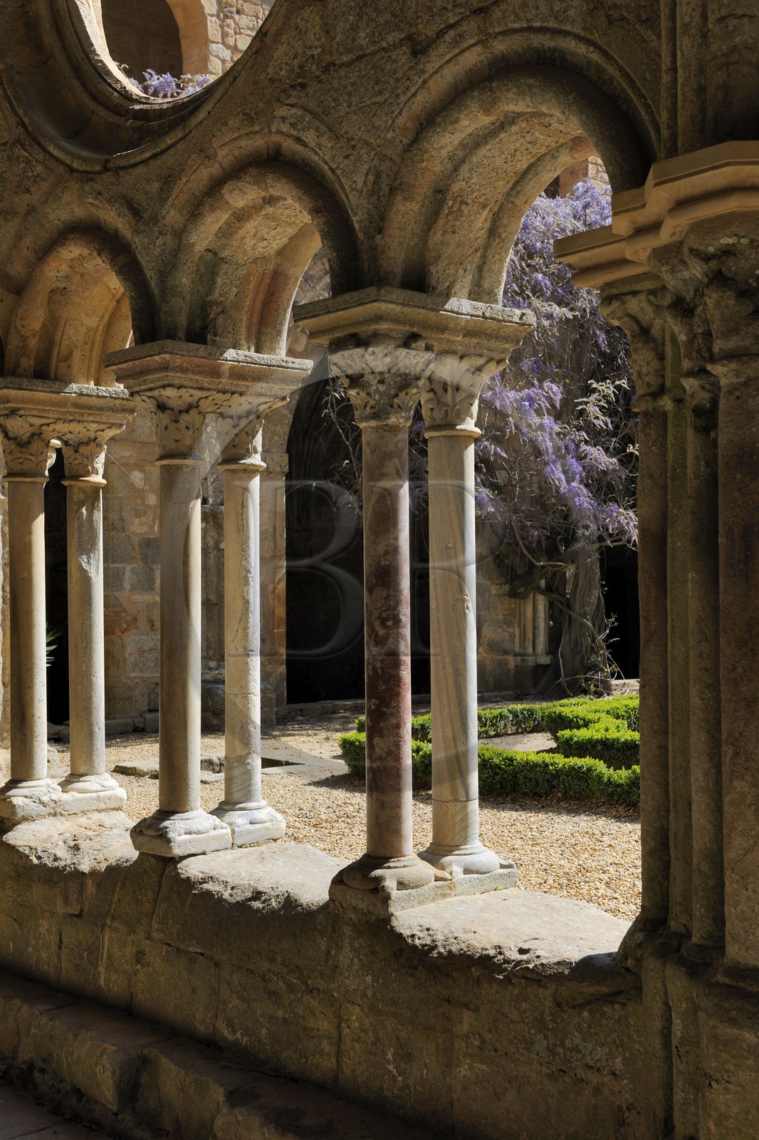 France, Aude (11), abbaye cistercienne de Fontfroide, le cloître